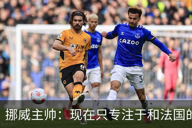 挪威主帅：现在只专注于和法国的比赛，没去想淘汰赛碰谁
